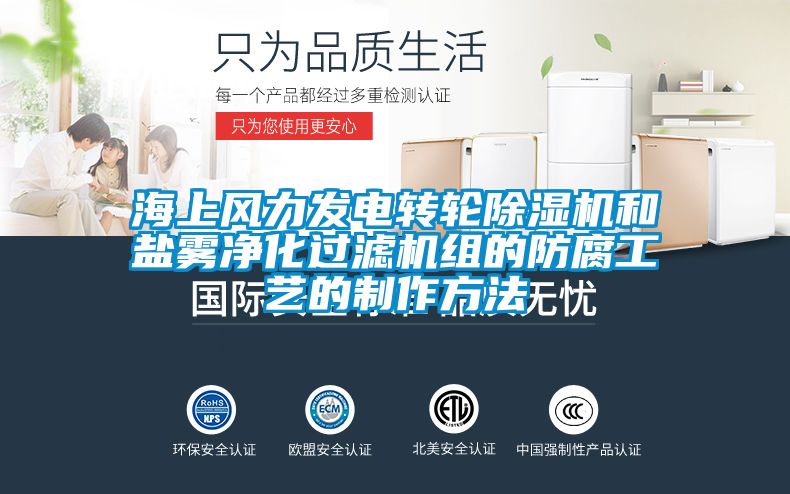 海上风力发电转轮黄瓜视频下载污机和盐雾净化过滤机组的防腐工艺的制作方法