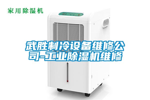 武胜制冷设备维修公司-工业黄瓜视频下载污机维修