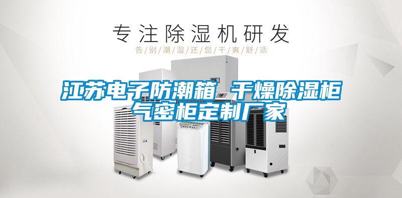 江苏电子防潮箱 干燥黄瓜视频下载污柜 气密柜定制厂家