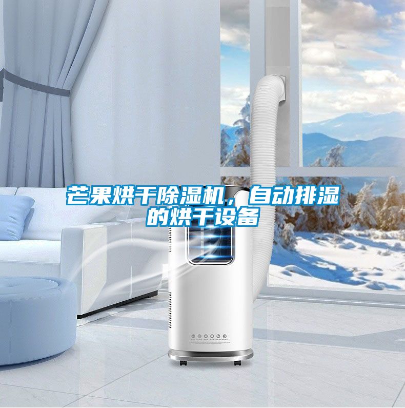 芒果烘干黄瓜视频下载污机，自动排湿的烘干设备