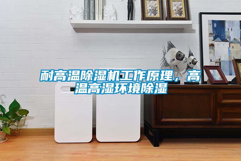 耐高温黄瓜视频下载污机工作原理，高温高湿环境黄瓜视频下载污