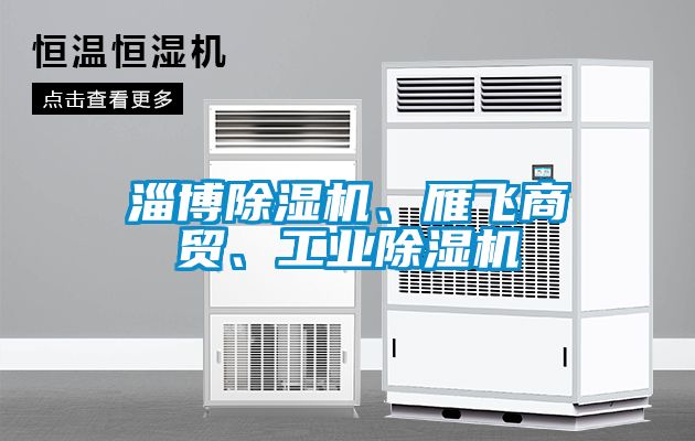 淄博黄瓜视频下载污机、雁飞商贸、工业黄瓜视频下载污机