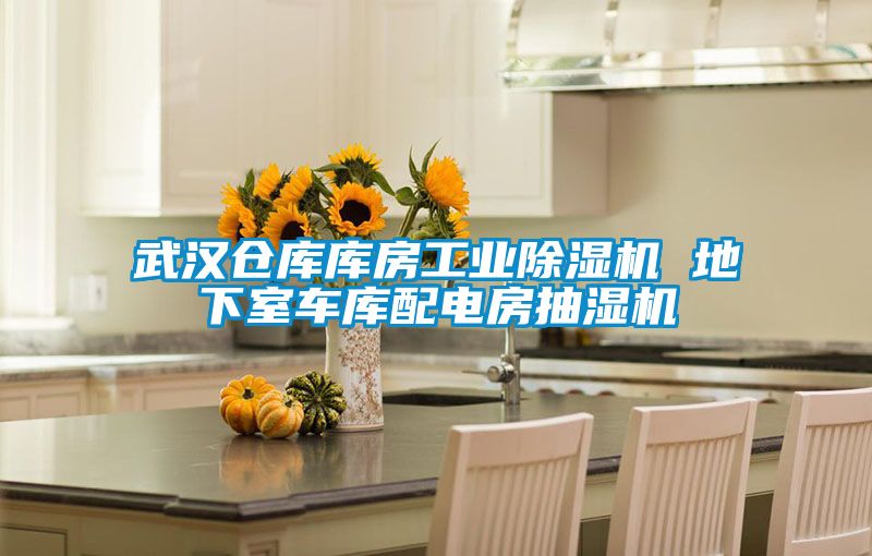 武汉仓库库房工业黄瓜视频下载污机 地下室车库配电房抽湿机
