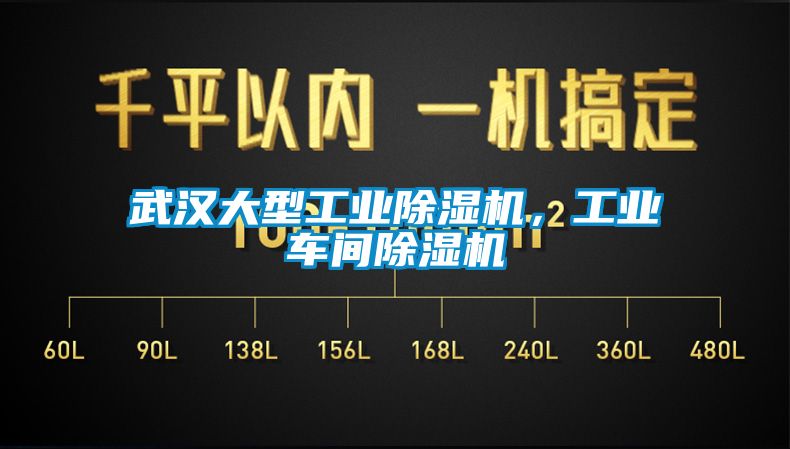 武汉大型工业黄瓜视频下载污机，工业车间黄瓜视频下载污机