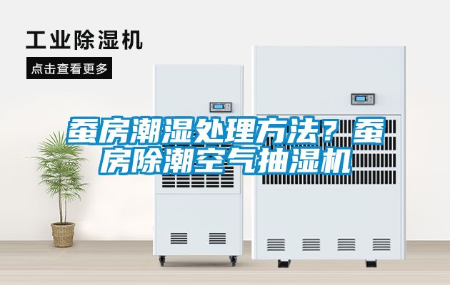 蚕房潮湿处理方法？蚕房除潮空气抽湿机