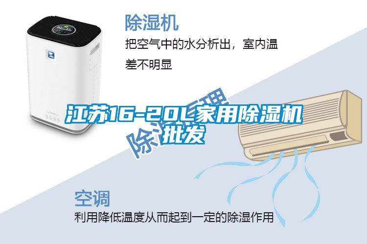 江苏16-20L家用黄瓜视频下载污机批发