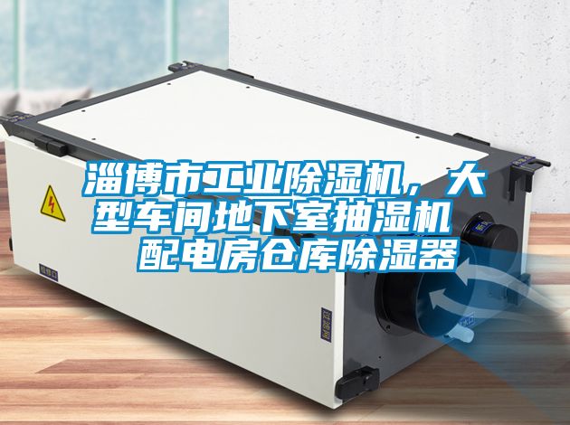 淄博市工业黄瓜视频下载污机，大型车间地下室抽湿机  配电房仓库黄瓜视频下载污器