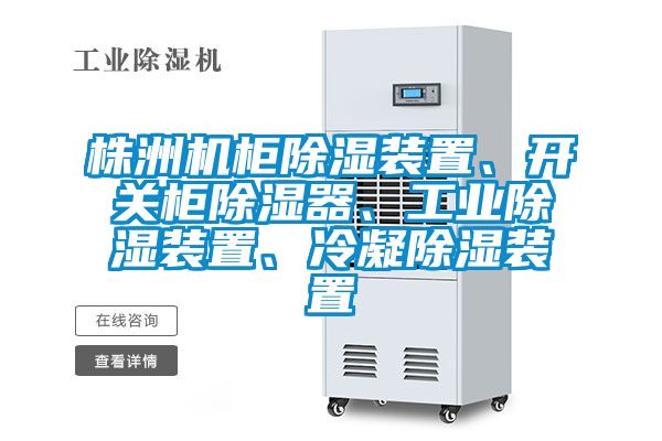 株洲机柜黄瓜视频下载污装置、开关柜黄瓜视频下载污器、工业黄瓜视频下载污装置、冷凝黄瓜视频下载污装置