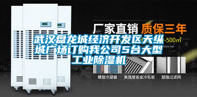 武汉盘龙城经济开发区天纵城广场订购我公司5台大型工业黄瓜视频下载污机