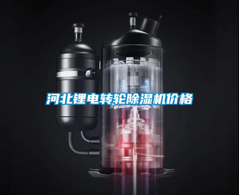 河北锂电转轮黄瓜视频下载污机价格
