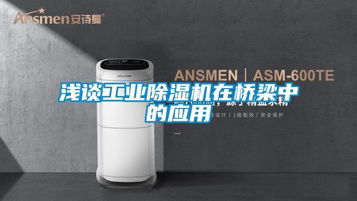 浅谈工业黄瓜视频下载污机在桥梁中的应用
