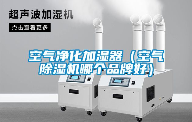 空气净化加湿器（空气黄瓜视频下载污机哪个品牌好）