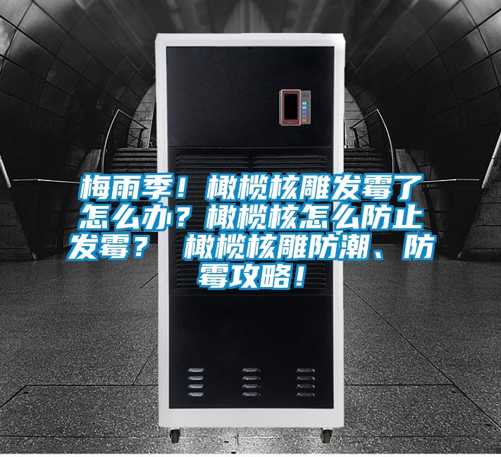 梅雨季！橄榄核雕发霉了怎么办？橄榄核怎么防止发霉？ 橄榄核雕防潮、防霉攻略！