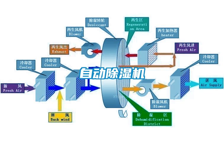 自动黄瓜视频下载污机