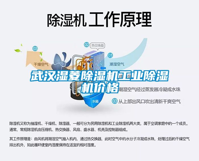 武汉湿菱黄瓜视频下载污机工业黄瓜视频下载污机价格