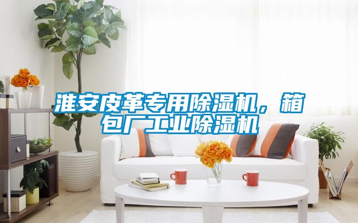 淮安皮革专用黄瓜视频下载污机，箱包厂工业黄瓜视频下载污机