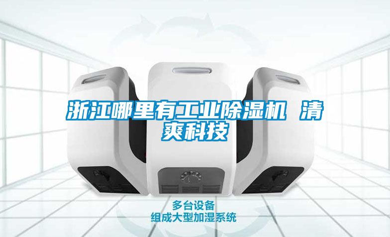 浙江哪里有工业黄瓜视频下载污机 清爽科技