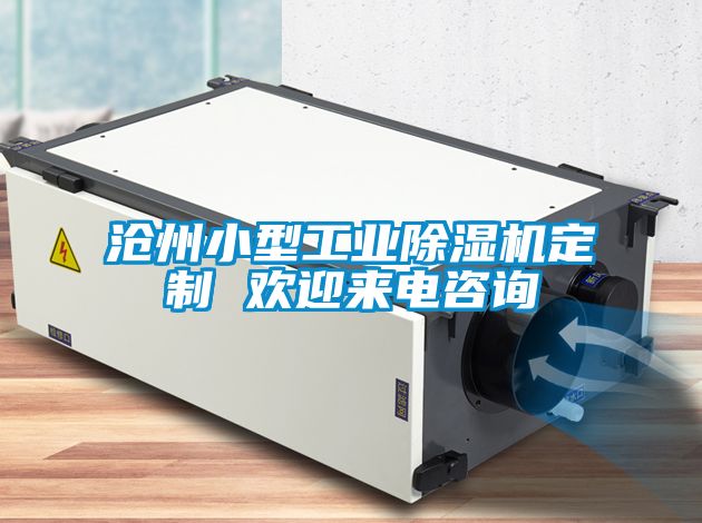 沧州小型工业黄瓜视频下载污机定制 欢迎来电咨询