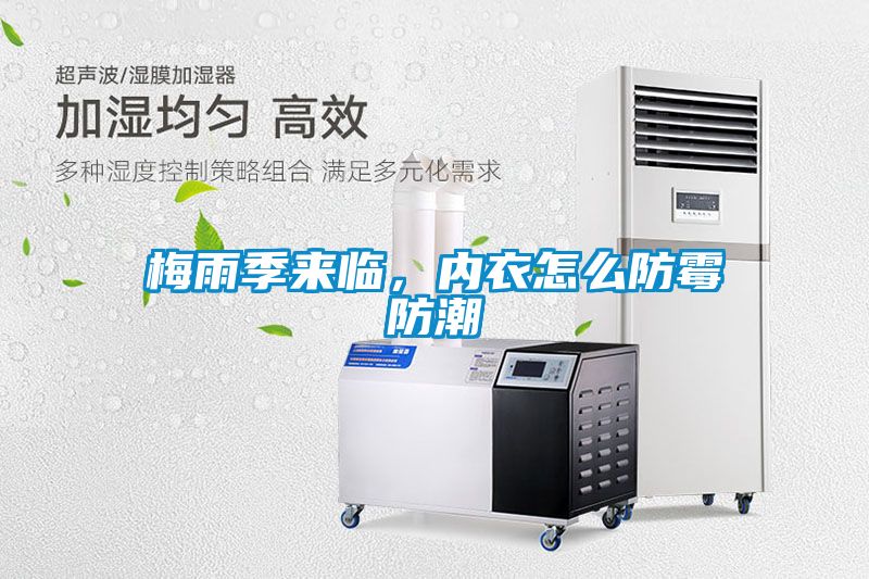 梅雨季来临，内衣怎么防霉防潮
