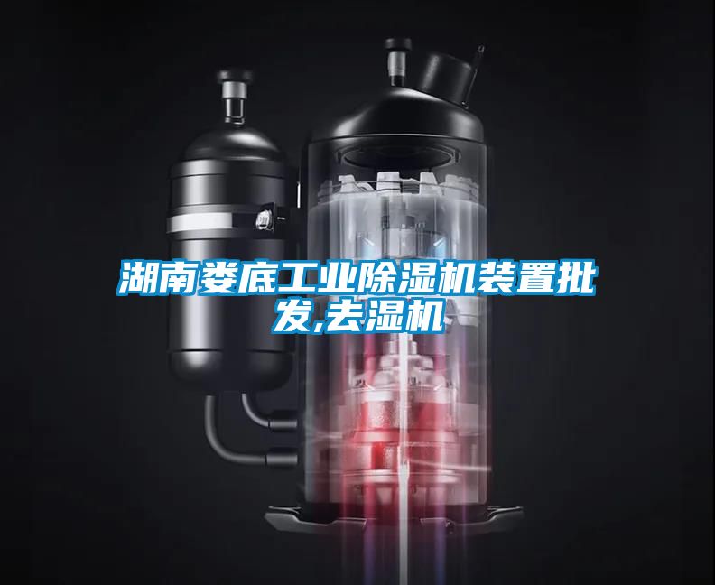 湖南娄底工业黄瓜视频下载污机装置批发,去湿机
