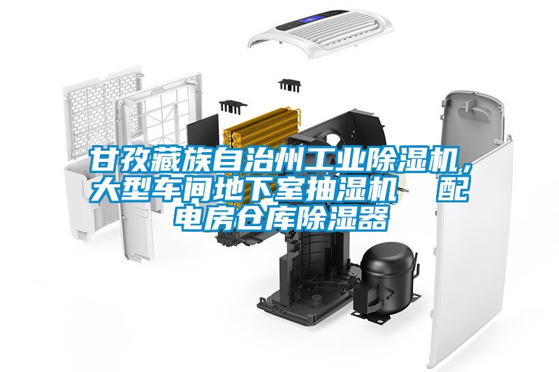 甘孜藏族自治州工业黄瓜视频下载污机，大型车间地下室抽湿机  配电房仓库黄瓜视频下载污器