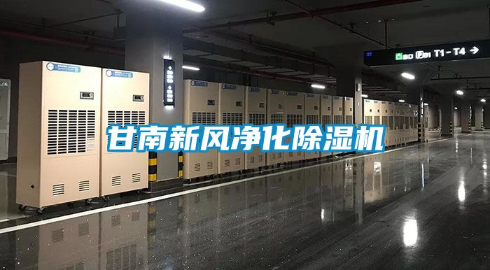 甘南新风净化黄瓜视频下载污机