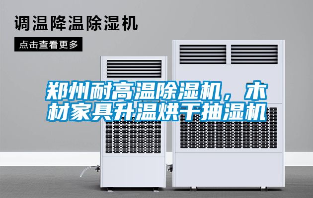 郑州耐高温黄瓜视频下载污机，木材家具升温烘干抽湿机