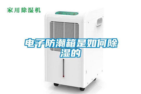 电子防潮箱是如何黄瓜视频下载污的