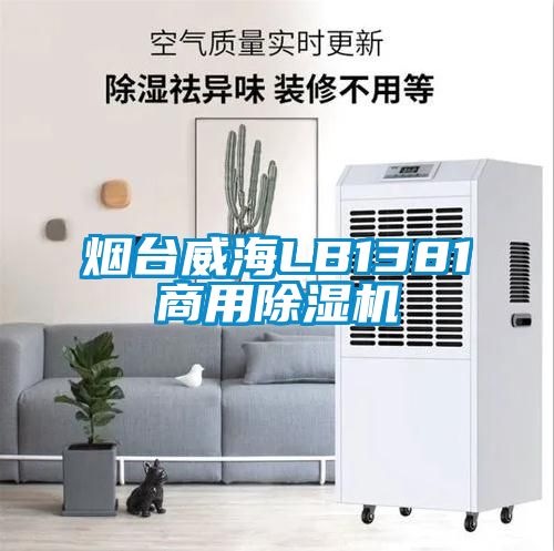 烟台威海LB1381商用黄瓜视频下载污机