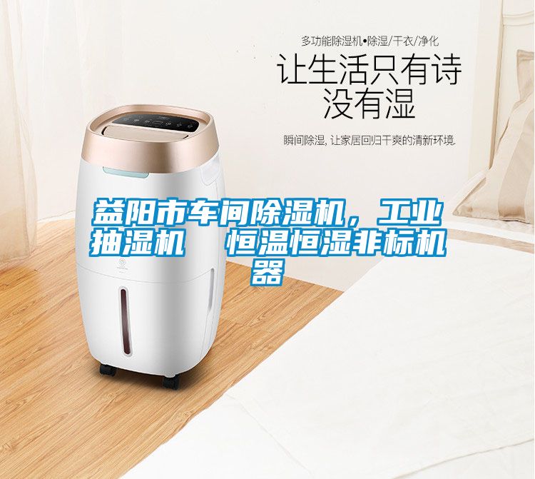 益阳市车间黄瓜视频下载污机，工业抽湿机  恒温恒湿非标机器