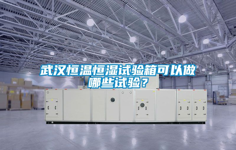武汉恒温恒湿试验箱可以做哪些试验？