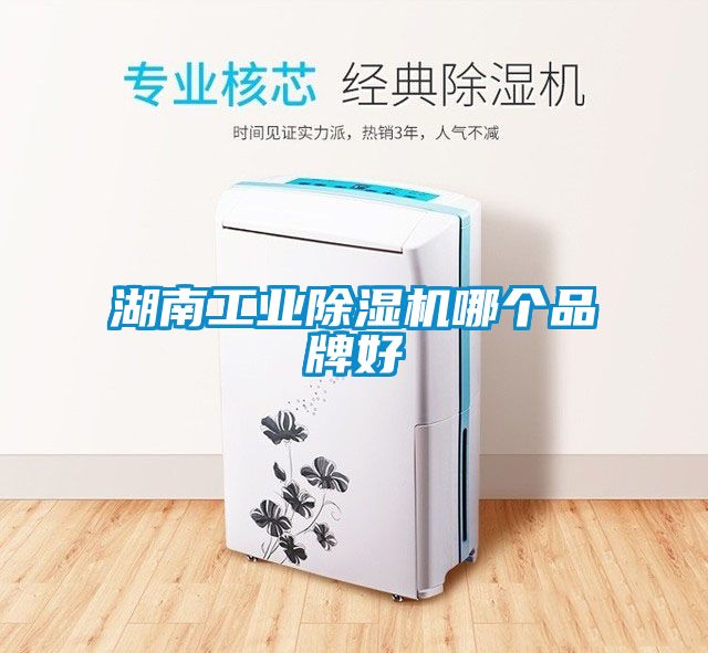 湖南工业黄瓜视频下载污机哪个品牌好
