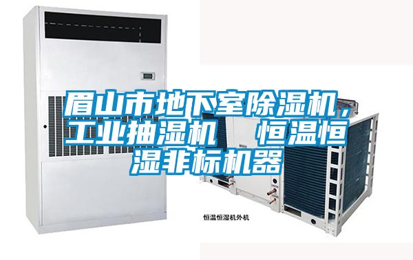 眉山市地下室黄瓜视频下载污机，工业抽湿机  恒温恒湿非标机器