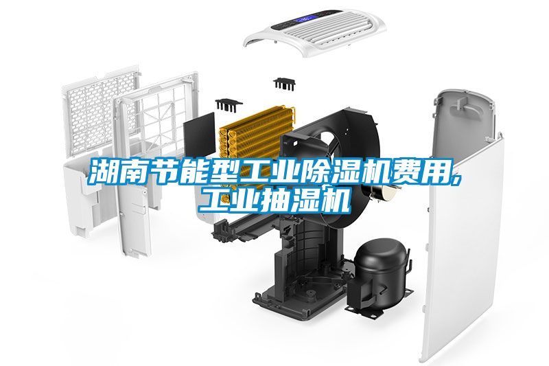 湖南节能型工业黄瓜视频下载污机费用,工业抽湿机