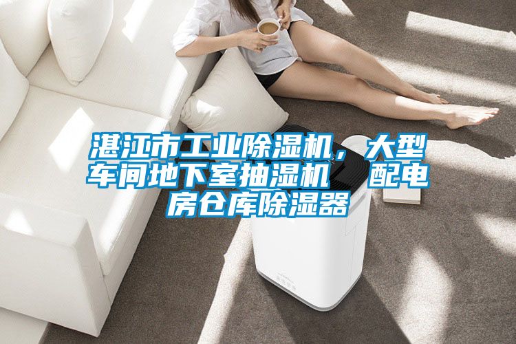 湛江市工业黄瓜视频下载污机，大型车间地下室抽湿机  配电房仓库黄瓜视频下载污器