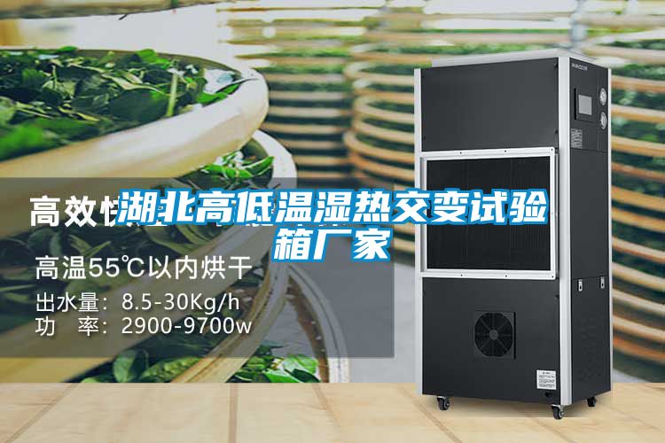 湖北高低温湿热交变试验箱厂家