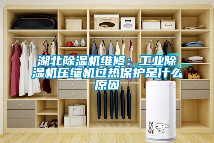 湖北黄瓜视频下载污机维修：工业黄瓜视频下载污机压缩机过热保护是什么原因