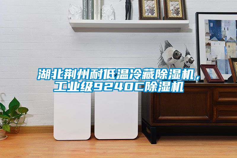 湖北荆州耐低温冷藏黄瓜视频下载污机，工业级9240C黄瓜视频下载污机