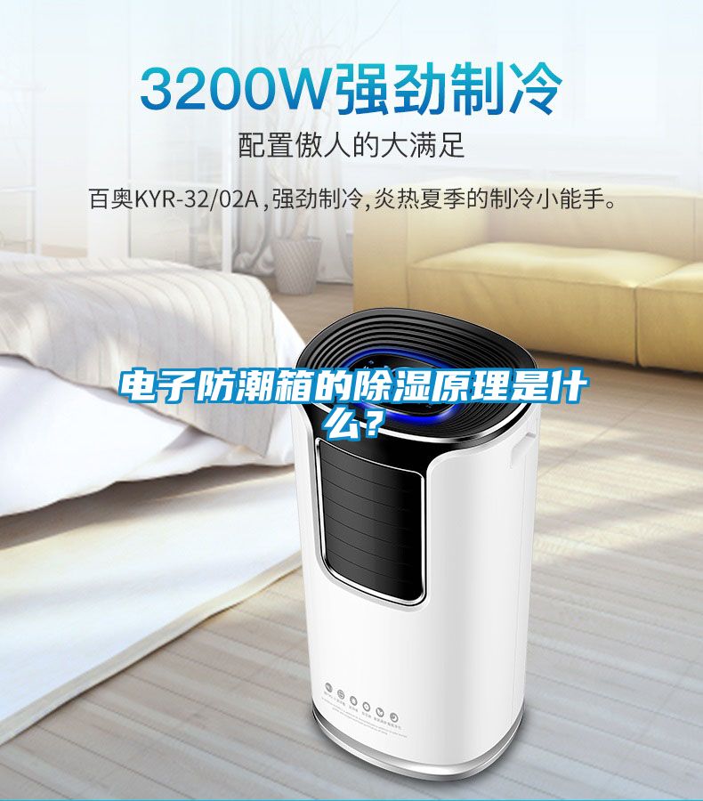 电子防潮箱的黄瓜视频下载污原理是什么？