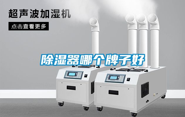 黄瓜视频下载污器哪个牌子好
