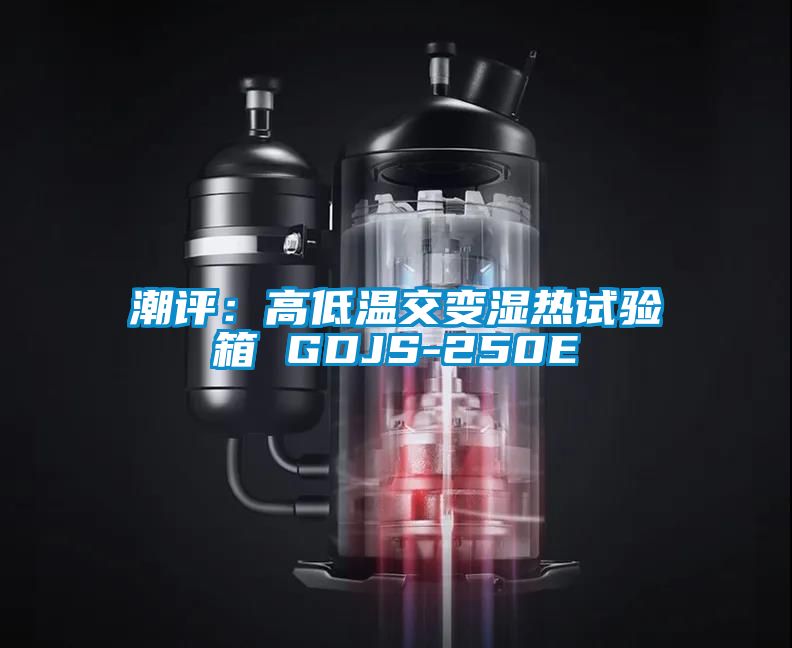 潮评：高低温交变湿热试验箱 GDJS-250E