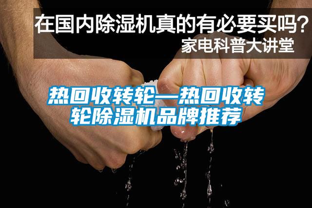 热回收转轮—热回收转轮黄瓜视频下载污机品牌推荐