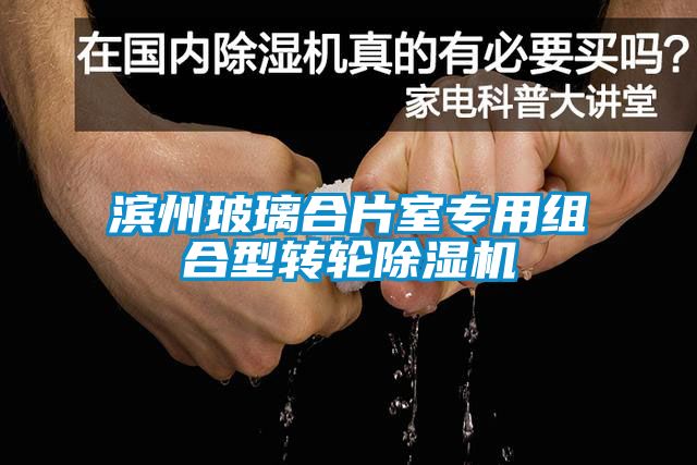 滨州玻璃合片室专用组合型转轮黄瓜视频下载污机
