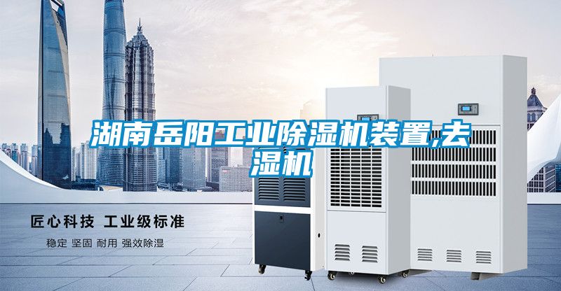 湖南岳阳工业黄瓜视频下载污机装置,去湿机