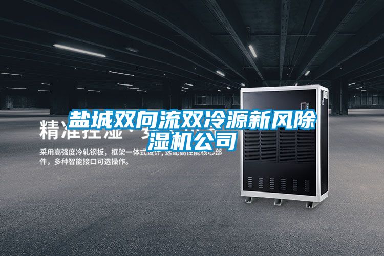 盐城双向流双冷源新风黄瓜视频下载污机公司