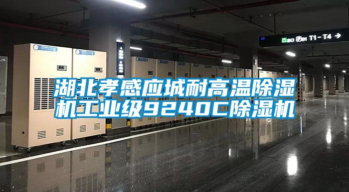 湖北孝感应城耐高温黄瓜视频下载污机工业级9240C黄瓜视频下载污机