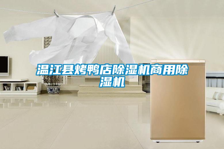 温江县烤鸭店黄瓜视频下载污机商用黄瓜视频下载污机