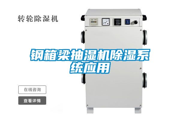 钢箱梁抽湿机黄瓜视频下载污系统应用