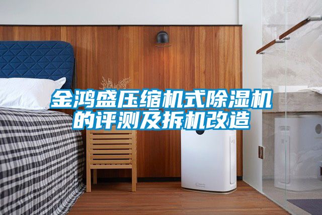 金鸿盛压缩机式黄瓜视频下载污机的评测及拆机改造