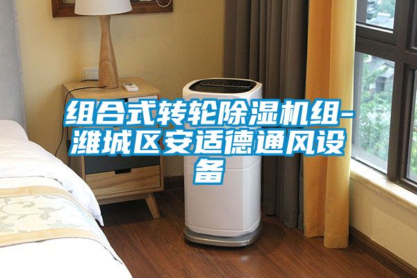 组合式转轮黄瓜视频下载污机组-潍城区安适德通风设备